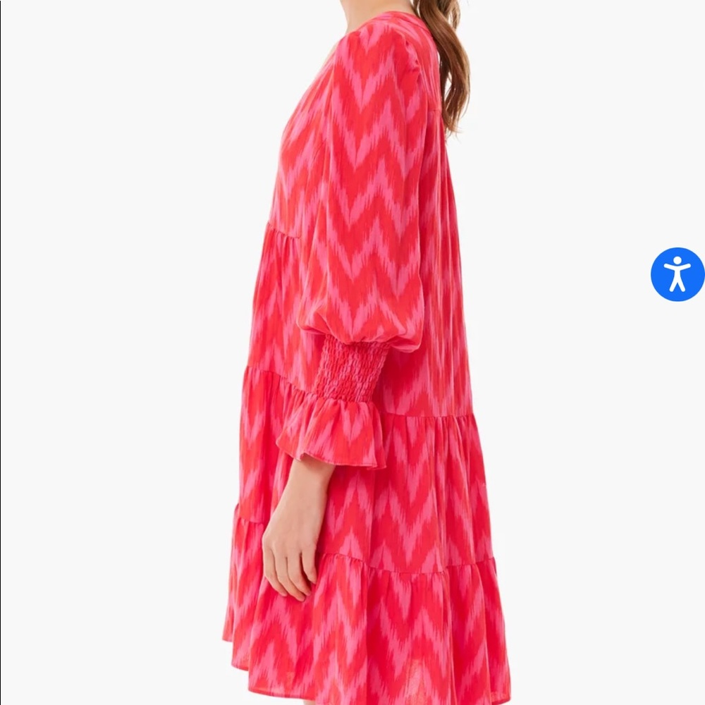 NWOT Tuckernuck Pomander Place Hot Pink Ikat Kenzo Dress, M - Picture 4 of 9